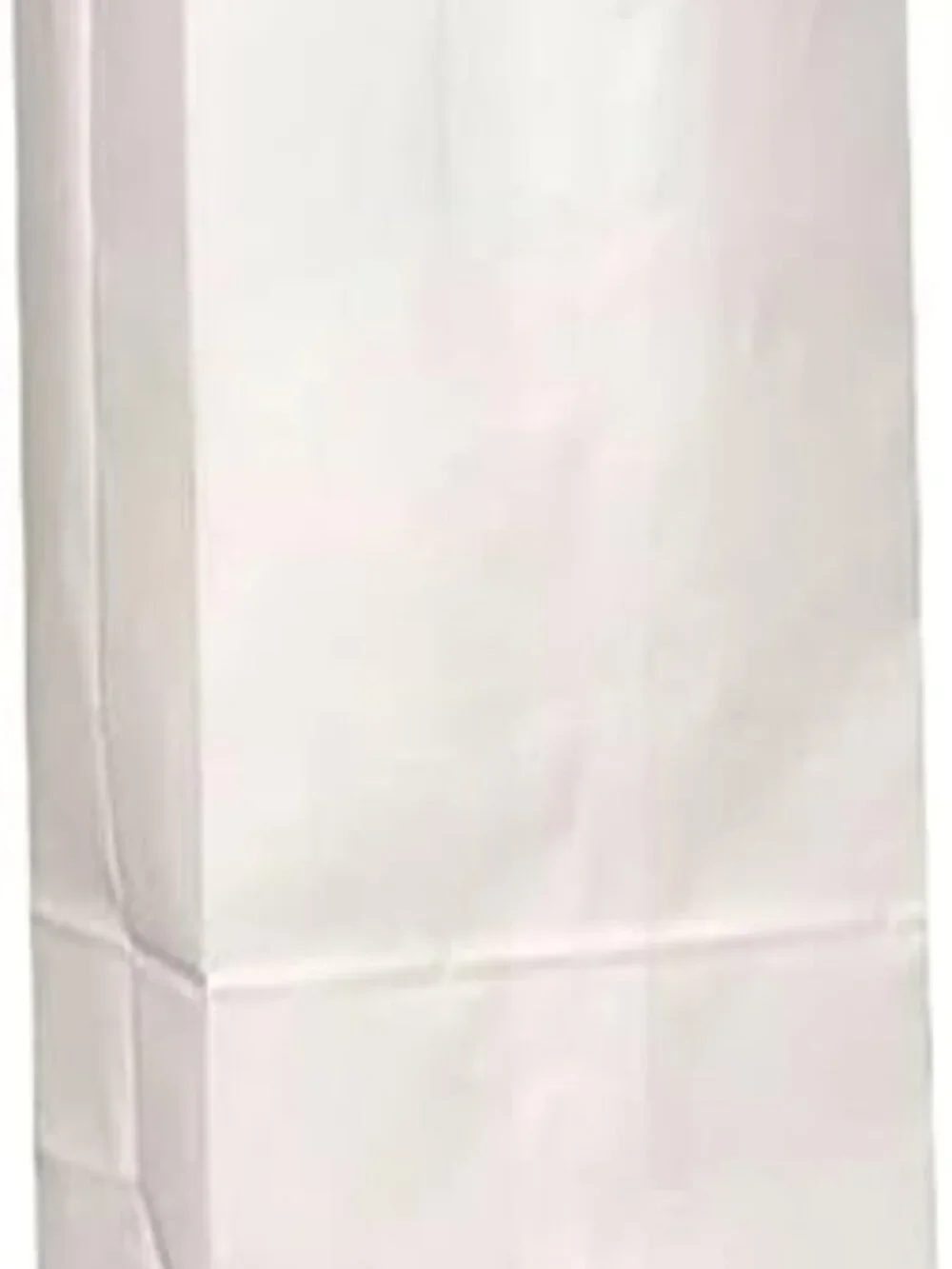 White Paper Bags